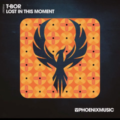 T-Bor - Lost In This Moment (Original Mix)