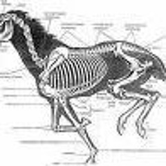 Joe Rogan is in Love with Me