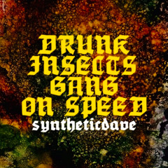 DRUNK INSECTS GANG ON SPEED ((Der Sound ist fett wie eine deutsche Wurst))