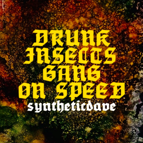 DRUNK INSECTS GANG ON SPEED ((Der Sound ist fett wie eine deutsche Wurst))