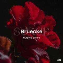 Surge Curated: #20 | BRUECKE