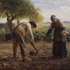 peasant