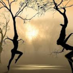 Old Trees Dance