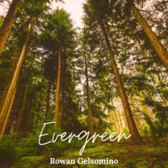 Evergreen