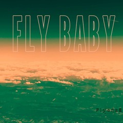 Fly Baby