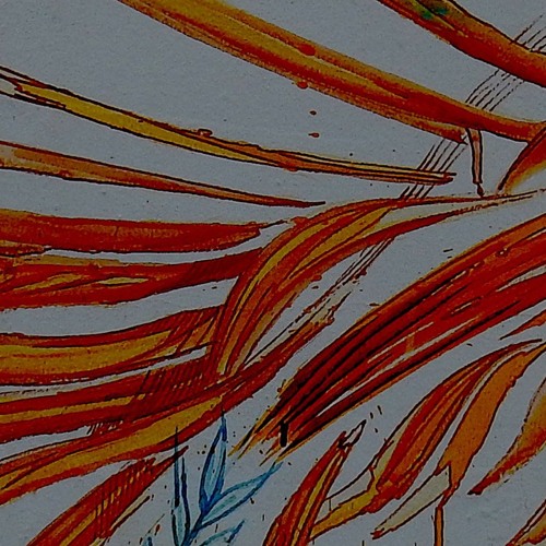 Remix for Kaos Records.PT