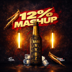 12% Mashup - DJ Trevon