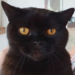 I-CON - Feyerei @ 1st ofJuly