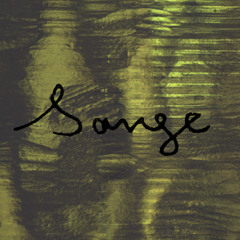 more than you can chew