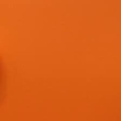 Fvdetape[1]