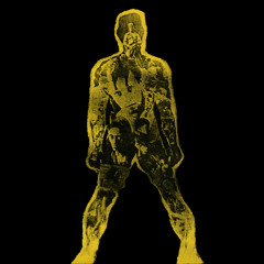 Born In Flames (The Social Democrats’ Song from a Film by Lizzie Borden, 2025 Remaster) [feat. Lora Logic, Gina Birch & Epic Soundtracks]