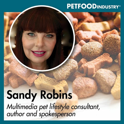 Digital Branding with pet lifestyle consultant Sandy Robins