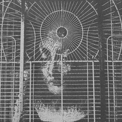 Morphology Festival mix
