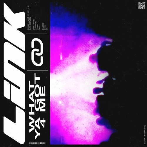 WHAT YA GOT 4 ME [LINK bootleg]
