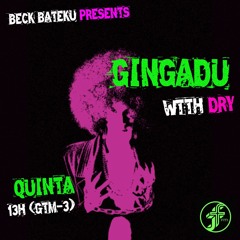DRY I GINGADU @FunctionFM 11.04.2024