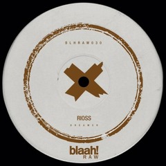 Rioss (Col) - Dreamer [Blaah Records]