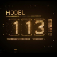 MODEL 113