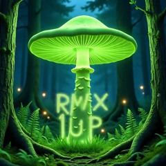 1 U P (R M X)