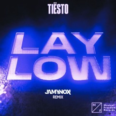 Tiësto - Lay Low (Jamy Nox Remix)
