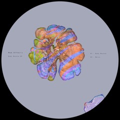 PREMIERE : Red Effects - Body Bounce