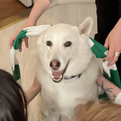 just idag e jag bas 2.mp3