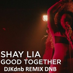 DJKdnb -Shay Lia - Good Togethe(DJKdnb REMIX DNB )