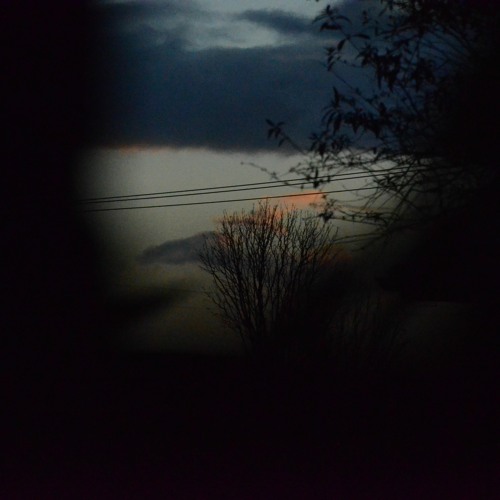 Day 1293 (Without Light)