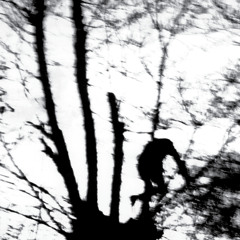 Instinct (Backtosense)