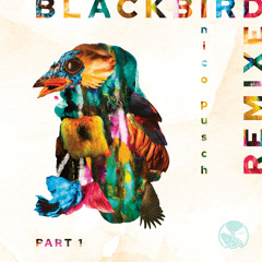 Blackbird (Nico Pusch Remix)