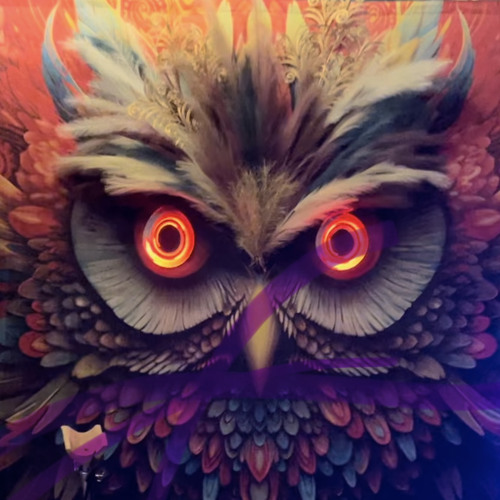 FractChill24 (AfrikaBurn)