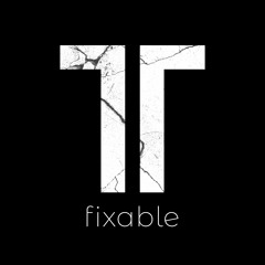 Theo Tams - Fixable