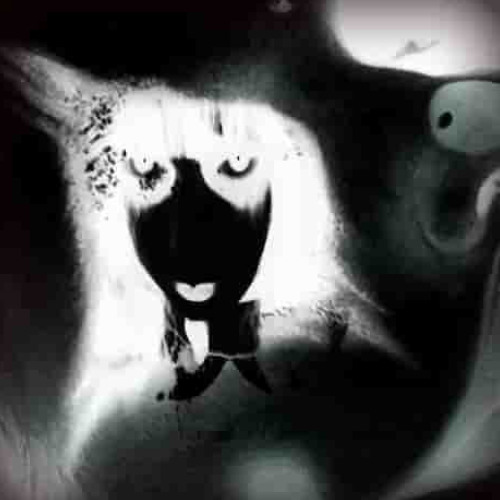 ugly and morbid #eyeslooksad w/ lavendr (genshi)