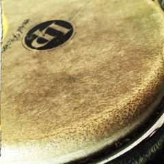 Geoffroy.bongos(disquiet0473)