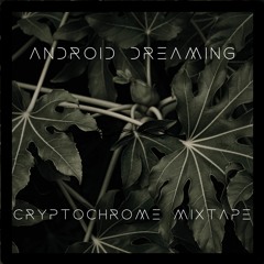 cryptochrome mixtape (2021 promo mix)