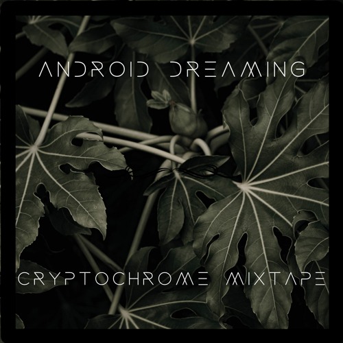 cryptochrome mixtape (2021 promo mix)