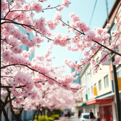 Cherry Blossoms Frenzy