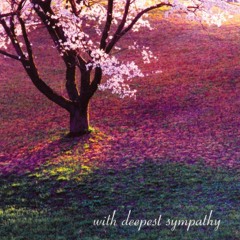 Scenes From A Karaoke Bar (Karaoke At Nine' Outro Remix)