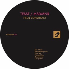 Premiere: TESST — Exit Where [MSDMNR]
