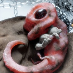 Olor Acre - Genomics Of Domestication