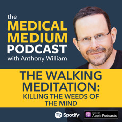 110 The Walking Meditation: Killing The Weeds Of The Mind