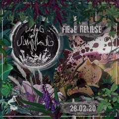 Cleos - Unfug Im Sumpfkrug: Fiese Relieseෂ IPSE - 280220