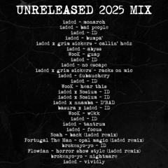 2025 unreleased mix