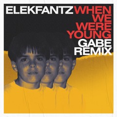 Elekfantz - When We Were Young (Gabe Remix)