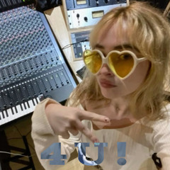 4u- loghi edit