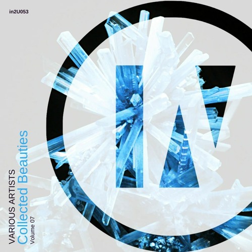 Gabriel Filip - Passenger (Original Mix) [in2U Records]
