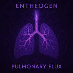Pulmonary Flux