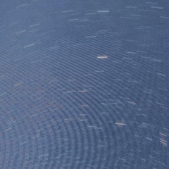 Alison (slowdive cover)