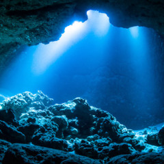underwater cove