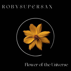 Flower of The Universe