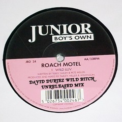 Roach Motel - Wild Luv [David Duriez Wild Bitch Remix]